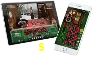 S29